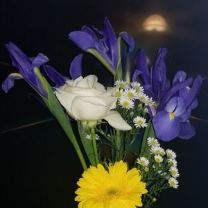 Meet your Posher, Iris